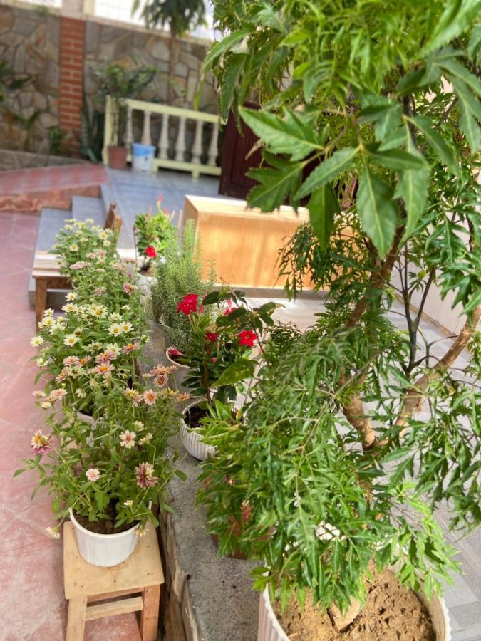 Hidden Hue Homestay מראה חיצוני תמונה