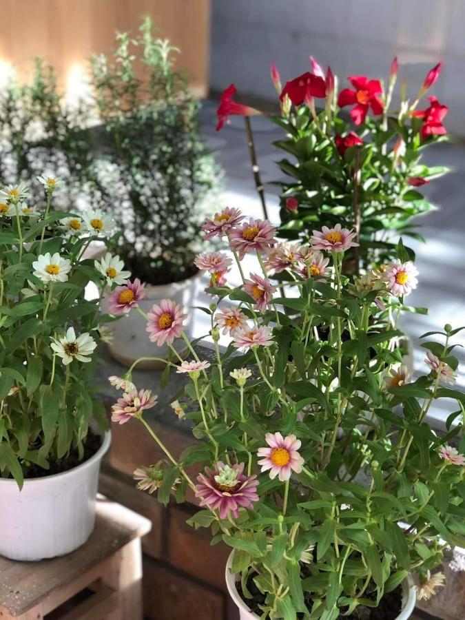 Hidden Hue Homestay מראה חיצוני תמונה